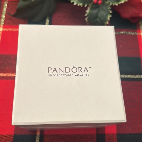 Pandora 2011 Christmas Ornament with white stamped Pandora hanging ribbon. - Picture 5 of 6